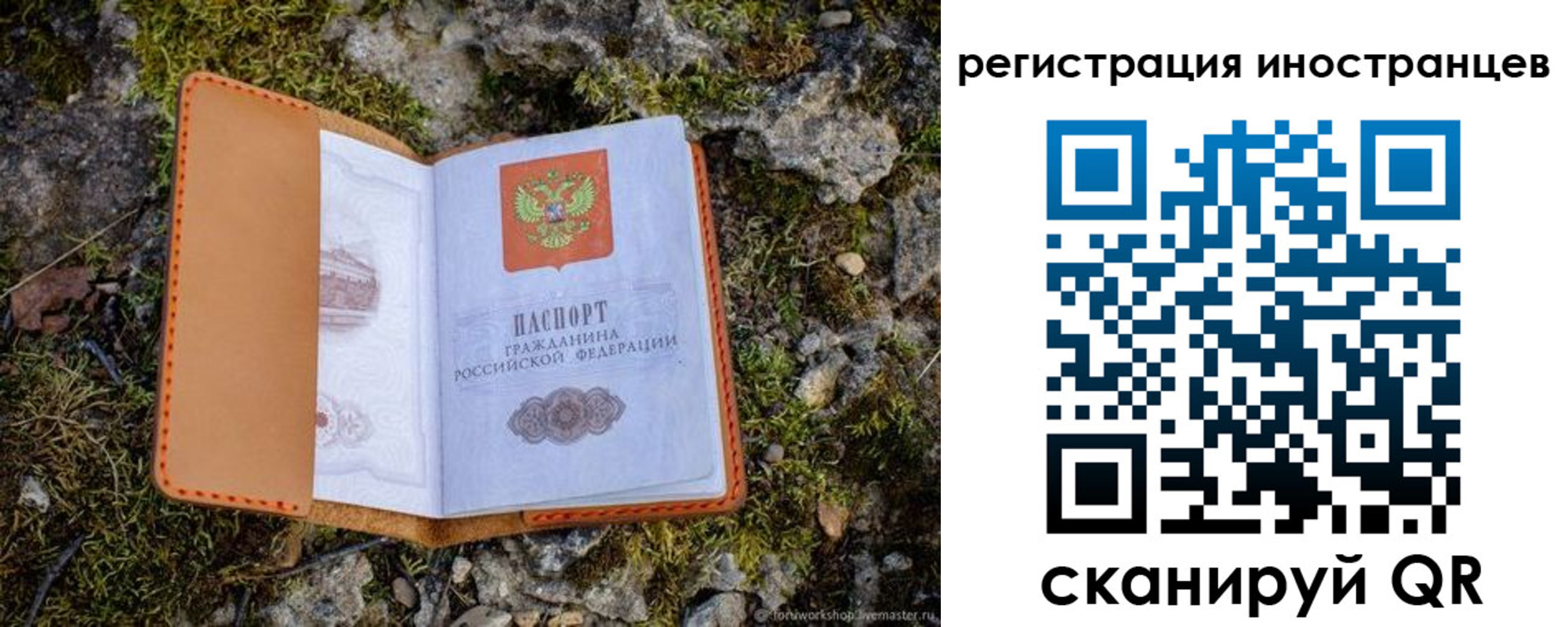 прописка паспорт в Киселёвске